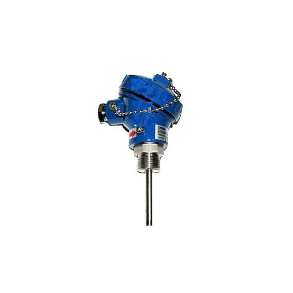 Đầu dò nhiệt độ Omron E52MY-PT10C (loại PT100, 10cm)
