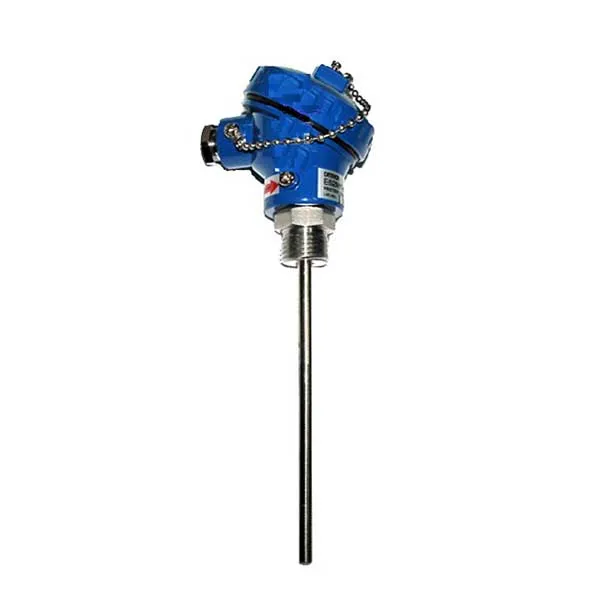 Đầu dò nhiệt độ Omron E52MY-PT30C (loại PT100, 30cm)