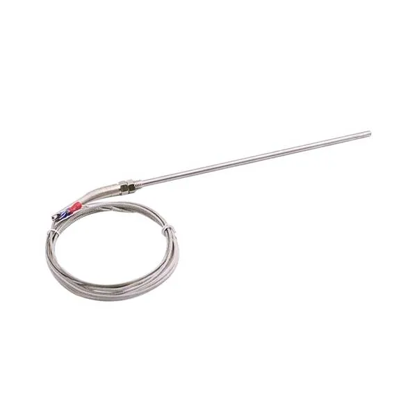 Dây dò nhiệt loại K SM-N-K-06-0.2 (đầu dò 20cm)
