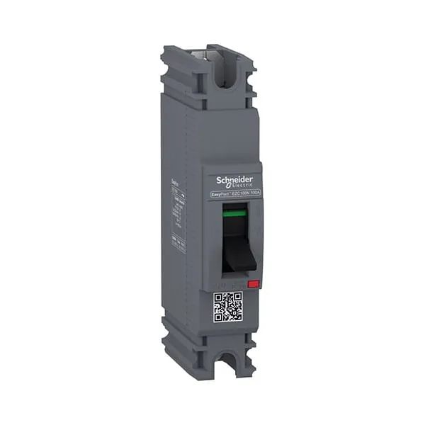 MCCB Schneider EZC100N1100
