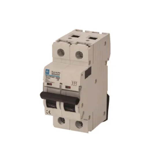 MCB Fuji BCL63E0CG-2P040 2P 40A 6kA