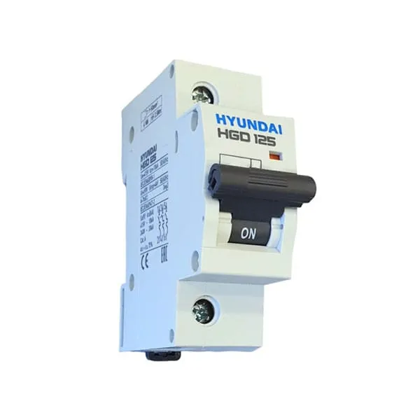 MCB Hyundai HGD125 1P 125A 10kA