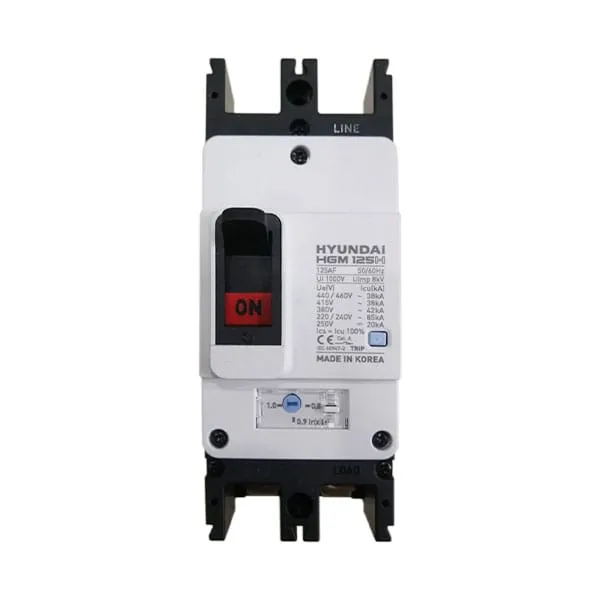 MCCB Hyundai HGM125H-F 2P 80A 85kA