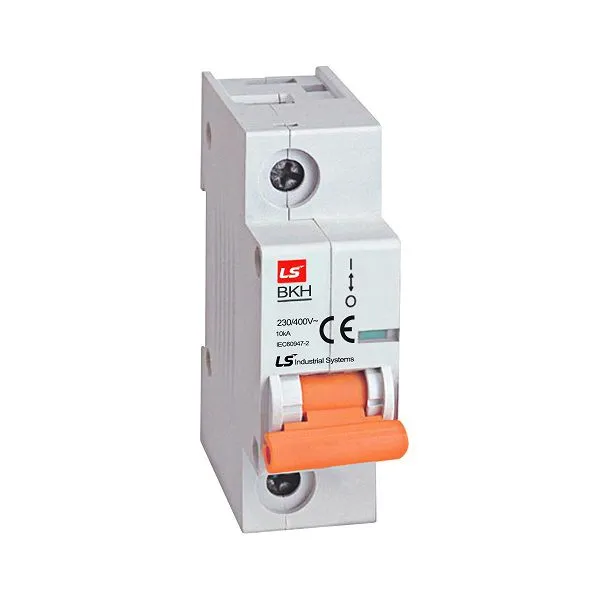 MCB LS BKH 100A 1P 10kA